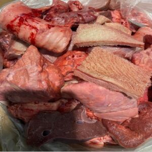 Assorted Intestine