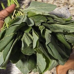 Fresh Green Vegetable